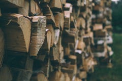 A large quantity of firewood from birch stock photo A large quantity of firewood from birch stock photo