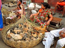 Las aves de corral vivas vendieron en el borde de la carretera en Kolkata, la India imágenes de archivo libres de regalías Las aves de corral vivas vendieron en el borde de la carretera en Kolkata, la India imágenes de archivo libres de regalías