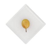 Las frutas isométricas 3D rinden libre illustration Las frutas isométricas 3D rinden libre illustration