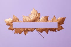 Las hojas de arce del color oro se separaron hacia fuera en un fondo violeta fotografía de archivo libre de regalías Las hojas de arce del color oro se separaron hacia fuera en un fondo violeta fotografía de archivo libre de regalías