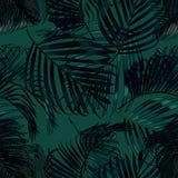 Las hojas de palma siluetean en el fondo verde Modelo inconsútil del vector con las plantas tropicales Fotos de archivo libres de regalías Las hojas de palma siluetean en el fondo verde Modelo inconsútil del vector con las plantas tropicales Fotos de archivo libres de regalías