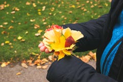 Las manos del otoño en mate imagen de archivo libre de regalías Las manos del otoño en mate imagen de archivo libre de regalías