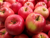 Las manzanas rojas y verdes jugosas, brillantes del mutsu, alistan para la venta en un mercado local fotografía de archivo libre de regalías Las manzanas rojas y verdes jugosas, brillantes del mutsu, alistan para la venta en un mercado local fotografía de archivo libre de regalías