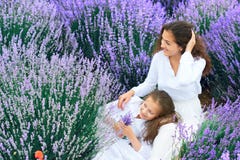 Las muchachas est?n en el campo de flor de la lavanda, paisaje hermoso del verano fotografía de archivo libre de regalías Las muchachas est?n en el campo de flor de la lavanda, paisaje hermoso del verano fotografía de archivo libre de regalías