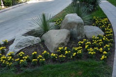Las piedras que mienten en una cama de flor con el crecimiento de flores amarillo hermoso alrededor de ellos con las calzadas a c Imagenes de archivo Las piedras que mienten en una cama de flor con el crecimiento de flores amarillo hermoso alrededor de ellos con las calzadas a c Imagenes de archivo