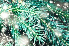Las ramas y los copos de nieve de árbol de Navidad se cierran encima de la macro im fotografía de archivo libre de regalías Las ramas y los copos de nieve de árbol de Navidad se cierran encima de la macro im fotografía de archivo libre de regalías