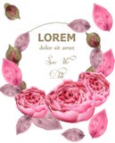 Las rosas rosadas delicadas enrruellan vector Fondo floral de la acuarela Papel pintado de las flores de la elegancia Ramos decor libre illustration Las rosas rosadas delicadas enrruellan vector Fondo floral de la acuarela Papel pintado de las flores de la elegancia Ramos decor libre illustration