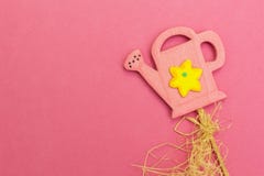 Lata molhando cor-de-rosa em um fundo cor-de-rosa, os jogos das crian?as fotografia de stock Lata molhando cor-de-rosa em um fundo cor-de-rosa, os jogos das crian?as fotografia de stock
