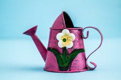 Lata molhando metálica colorida com design floral imagem de stock Lata molhando metálica colorida com design floral imagem de stock