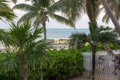The late day sun casts a warm glow over a dock in the distance through the palm trees. stock images The late day sun casts a warm glow over a dock in the distance through the palm trees. stock images