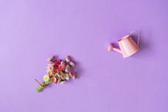 Lato kreatywnie skład w minimalnym stylu Biel Mar i menchie fotografia stock Lato kreatywnie skład w minimalnym stylu Biel Mar i menchie fotografia stock