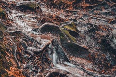 Laufender Nebenfluss im Wald ist das Waschen weg alles in seinem Weg stockbilder Laufender Nebenfluss im Wald ist das Waschen weg alles in seinem Weg stockbilder