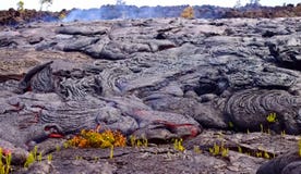 Lave actuelle sur la surface de la terre Lave liquide photographie stock Lave actuelle sur la surface de la terre Lave liquide photographie stock