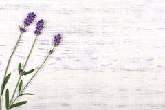 Lavender flowers on white wood table background stock photography Lavender flowers on white wood table background stock photography