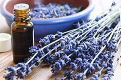 Lavender herb and essential oil royalty free stock images Lavender herb and essential oil royalty free stock images