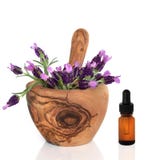 Lavender Herb Flowers And Essence Stock Photos Lavender Herb Flowers And Essence Stock Photos