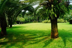 lawn royaltyfri foto lawn royaltyfri foto