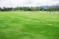 Lawn i parkera royaltyfria foton Lawn i parkera royaltyfria foton