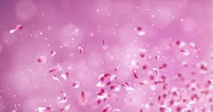 Laço cor-de-rosa vermelho romântico de voo 4k de Rose Sakura Flower Petals Falling Placeholder Laço cor-de-rosa vermelho romântico de voo 4k de Rose Sakura Flower Petals Falling Placeholder