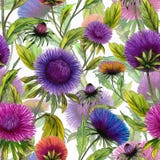 Le bel aster fleurit dans différentes couleurs lumineuses avec les feuilles vertes sur le fond blanc Configuration florale sans j illustration libre de droits Le bel aster fleurit dans différentes couleurs lumineuses avec les feuilles vertes sur le fond blanc Configuration florale sans j illustration libre de droits