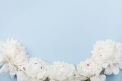 Le cadre de mariage fait en belle pivoine blanche fleurit sur la table en pastel bleue Vue supérieure et style plat de configurat image stock Le cadre de mariage fait en belle pivoine blanche fleurit sur la table en pastel bleue Vue supérieure et style plat de configurat image stock