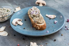 Le champignon léger écarte avec les herbes et le tofu sur les pâtisseries faites maison fraîches image stock Le champignon léger écarte avec les herbes et le tofu sur les pâtisseries faites maison fraîches image stock
