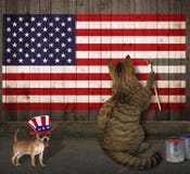 Le chat et le chien dessinent le drapeau américain Photos stock Le chat et le chien dessinent le drapeau américain Photos stock