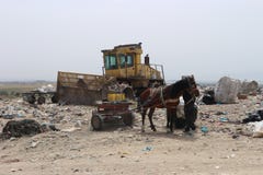 Le cheval a monté sur un chariot d'extracteur et un compacteur de rebut cassé dans un centre d'enfouissement des déchets images stock Le cheval a monté sur un chariot d'extracteur et un compacteur de rebut cassé dans un centre d'enfouissement des déchets images stock
