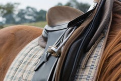 Le cheval sellé et préparent pour monter photographie stock libre de droits Le cheval sellé et préparent pour monter photographie stock libre de droits