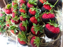 Le chocolat a plongé des fraises images stock Le chocolat a plongé des fraises images stock