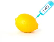 Le citron sur un fond blanc dans lequel la seringue est injectée avec l'OGM et les nitrates, plan rapproché, a génétiquement modi photos libres de droits Le citron sur un fond blanc dans lequel la seringue est injectée avec l'OGM et les nitrates, plan rapproché, a génétiquement modi photos libres de droits