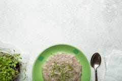 Le concept de la nutrition et de la perte de poids saines Farine d'avoine et espace vert micro et vide pour le texte image stock Le concept de la nutrition et de la perte de poids saines Farine d'avoine et espace vert micro et vide pour le texte image stock