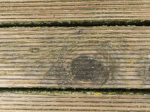 Le conseil en bois dur humide avec la désagrégation résiste à la surface Plancher en bois de pilier de plage photo stock Le conseil en bois dur humide avec la désagrégation résiste à la surface Plancher en bois de pilier de plage photo stock