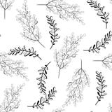Le contour sans couture de vecteur part du modèle Fond noir et blanc Illustration de nature illustration libre de droits Le contour sans couture de vecteur part du modèle Fond noir et blanc Illustration de nature illustration libre de droits