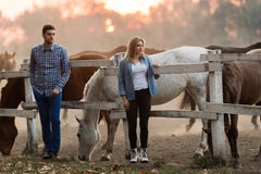 Le coppie nell'amore godono del giorno nella natura ed in cavalli immagini stock libere da diritti Le coppie nell'amore godono del giorno nella natura ed in cavalli immagini stock libere da diritti