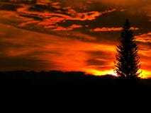 Le coucher du soleil Palmira Colombia et apprécient photos libres de droits Le coucher du soleil Palmira Colombia et apprécient photos libres de droits