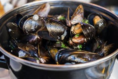 Le cozze cotte a vapore in vino bianco e burro sauce immagine stock libera da diritti Le cozze cotte a vapore in vino bianco e burro sauce immagine stock libera da diritti