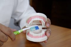 Le dentiste à l'aide de la brosse à dents sur des dents modèlent dans le concept de clinique de bureau dentaire, dentaire et médi images stock Le dentiste à l'aide de la brosse à dents sur des dents modèlent dans le concept de clinique de bureau dentaire, dentaire et médi images stock