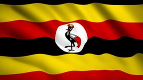 Drapeau De Louganda Banque De Vidéos Vidéo Du Lignes