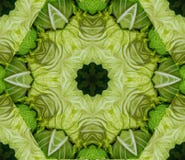 Le fond abstrait avec la conception kaléïdoscopique géométrique obtenue à partir du chou commun se dirige au marché du ` s d'agri illustration libre de droits Le fond abstrait avec la conception kaléïdoscopique géométrique obtenue à partir du chou commun se dirige au marché du ` s d'agri illustration libre de droits
