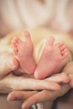 Le gambe neonate in mani delicate della madre fotografia stock Le gambe neonate in mani delicate della madre fotografia stock