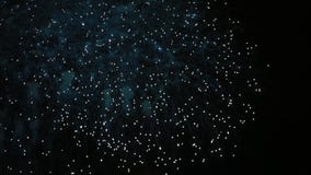 Le grandi forme dell'universo hanno proiettato dai fuochi d'artificio sul cielo notturno, al rallentatore video Docce di pioggia stock footage Le grandi forme dell'universo hanno proiettato dai fuochi d'artificio sul cielo notturno, al rallentatore video Docce di pioggia stock footage