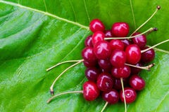 Le groupe de cerises mûres rouges avec des queues sur la bardane verte part photo stock Le groupe de cerises mûres rouges avec des queues sur la bardane verte part photo stock