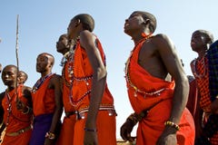 Le guerrier de Maasai exécutent la danse en leurs vêtements et bijoux traditionnels Photographie stock Le guerrier de Maasai exécutent la danse en leurs vêtements et bijoux traditionnels Photographie stock