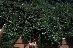 Le hippie élégant heureux de femme se tenant au vert laisse le buildi de mur photos libres de droits Le hippie élégant heureux de femme se tenant au vert laisse le buildi de mur photos libres de droits