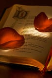 Le livre de Valentine Le livre de Valentine