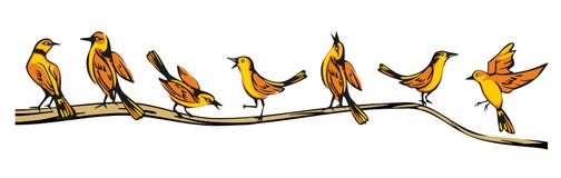 Le loriot d'or était perché dans diverses poses sur une branche Illustration plate de vecteur illustration de vecteur Le loriot d'or était perché dans diverses poses sur une branche Illustration plate de vecteur illustration de vecteur