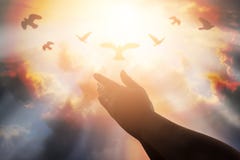 Le mani umane aprono il culto alto della palma La terapia dell'eucaristia benedice Dio lui fotografia stock Le mani umane aprono il culto alto della palma La terapia dell'eucaristia benedice Dio lui fotografia stock
