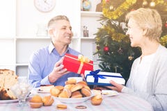 Le mari et l'épouse échangent des cadeaux pour Noël et le nouveau YE images libres de droits Le mari et l'épouse échangent des cadeaux pour Noël et le nouveau YE images libres de droits