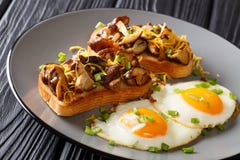 Le pain grillé délicieux avec les champignons de shiitaké et le fromage de cheddar a servi avec des oeufs au plat en gros plan d' photo libre de droits Le pain grillé délicieux avec les champignons de shiitaké et le fromage de cheddar a servi avec des oeufs au plat en gros plan d' photo libre de droits